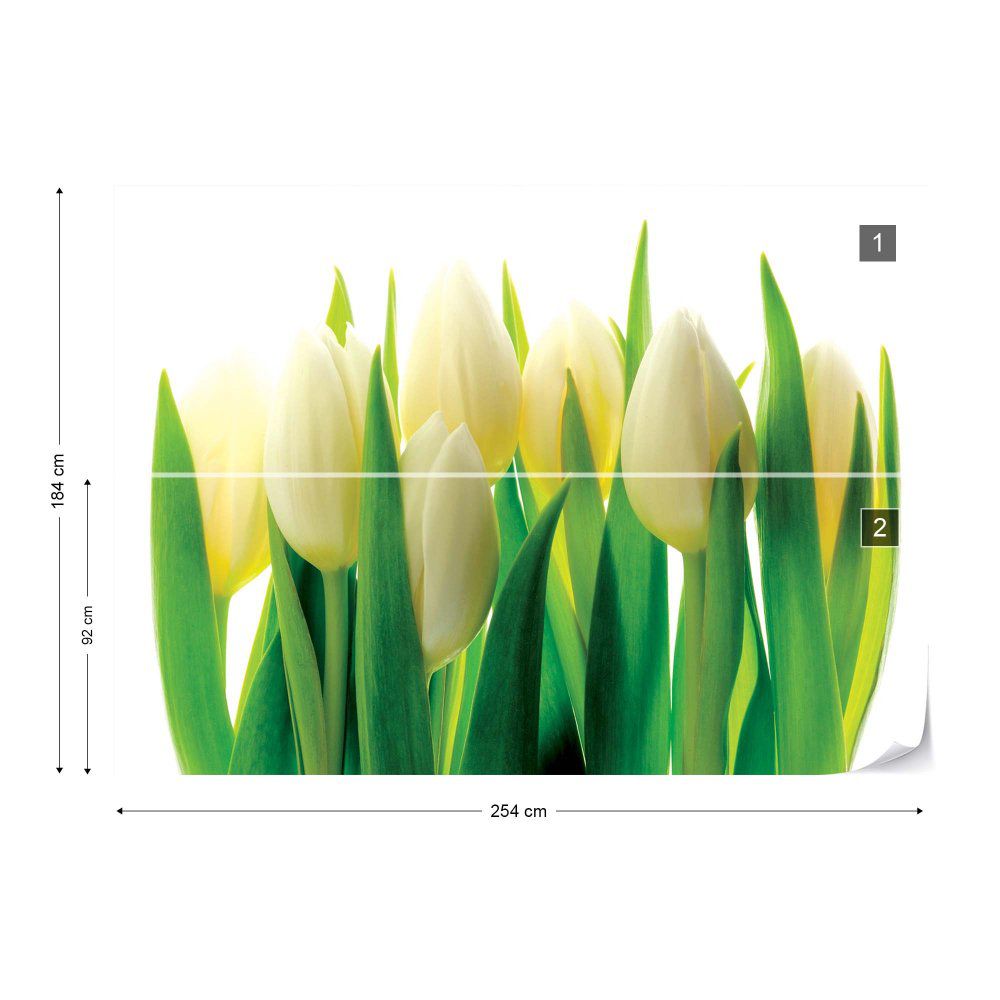 Fototapeta GLIX - Flowers Tulips + lepidlo ZDARMA Papírová tapeta  - 254x184 cm - GLIX DECO s.r.o.