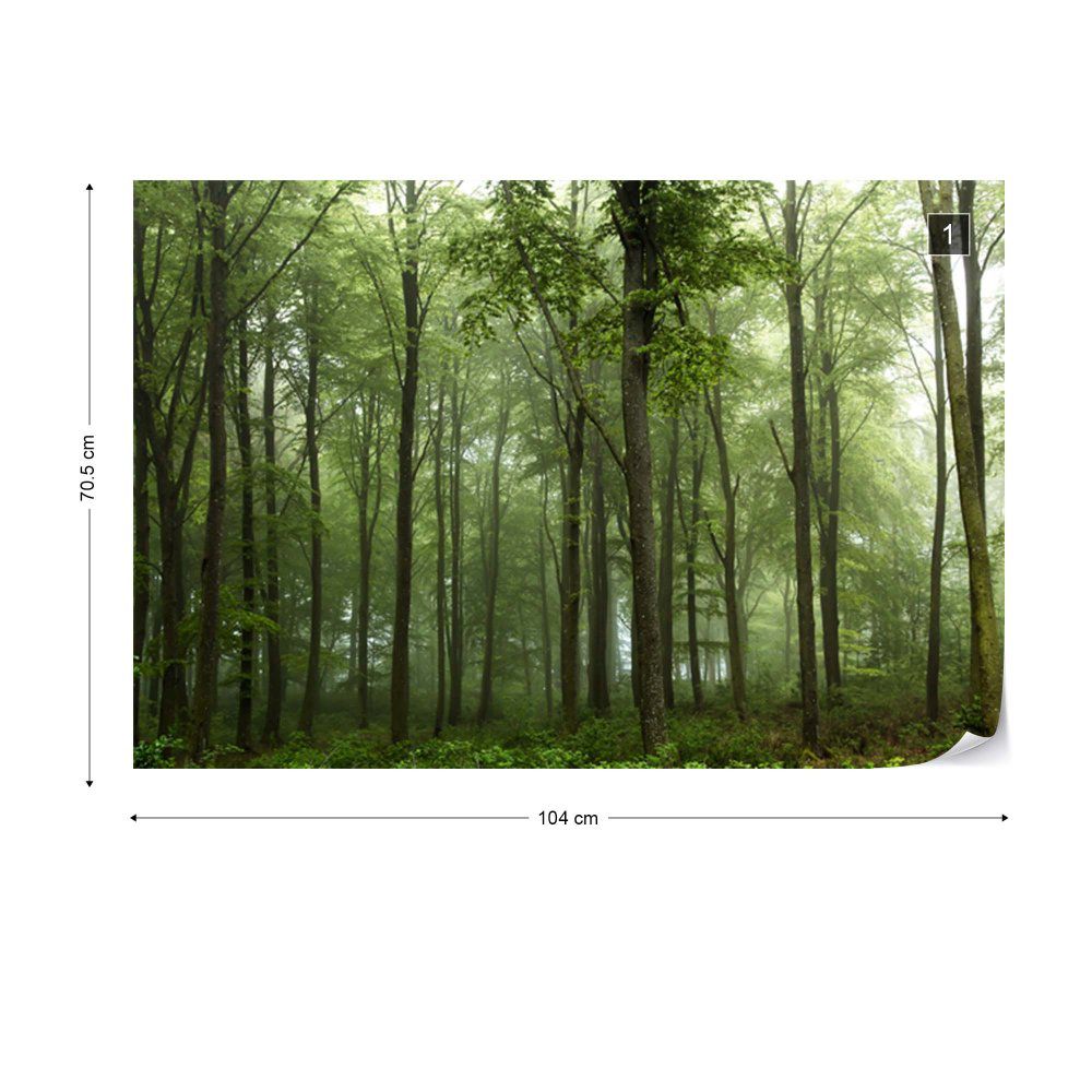 Fototapeta GLIX - Forest  + lepidlo ZDARMA Vliesová tapeta  - 104x70 cm - GLIX DECO s.r.o.