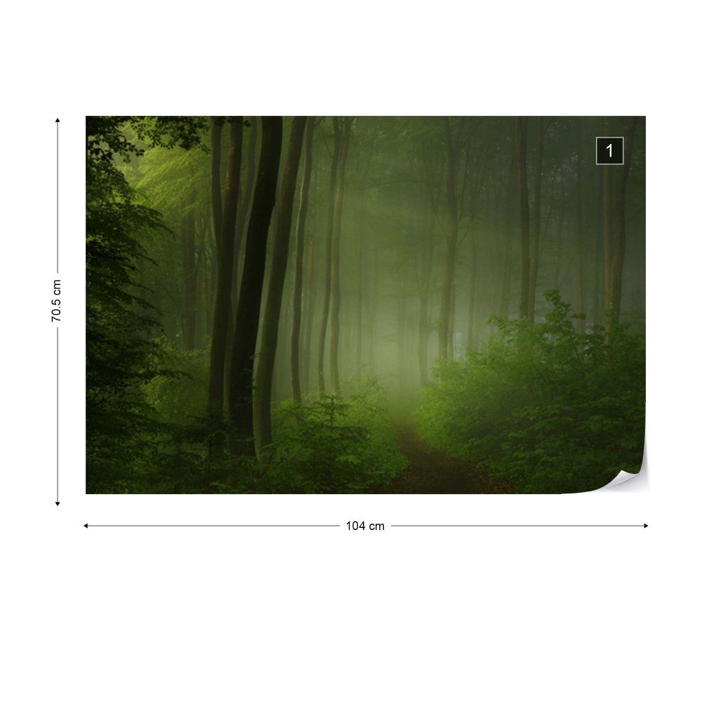 Fototapeta GLIX - Forest Morning + lepidlo ZDARMA Vliesová tapeta  - 104x70 cm - GLIX DECO s.r.o.