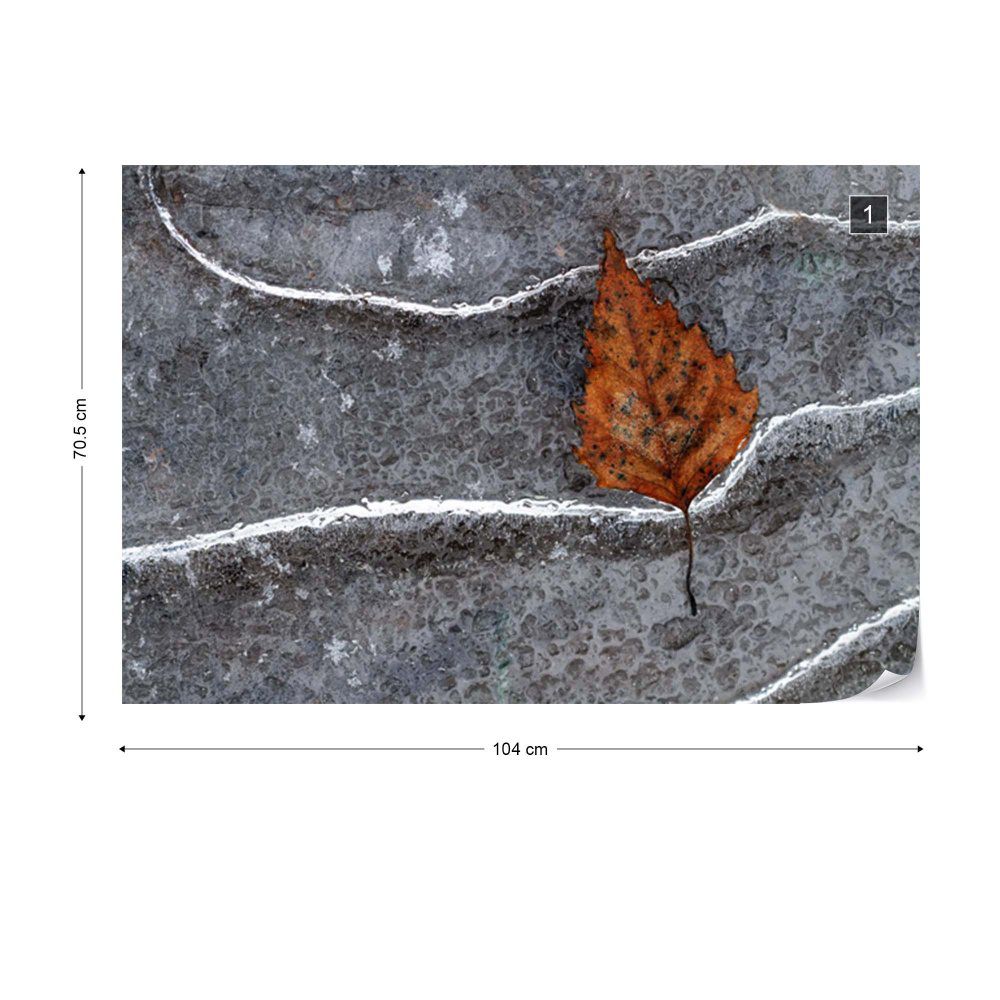 Fototapeta GLIX - Frozen Leaf + lepidlo ZDARMA Vliesová tapeta  - 104x70 cm - GLIX DECO s.r.o.