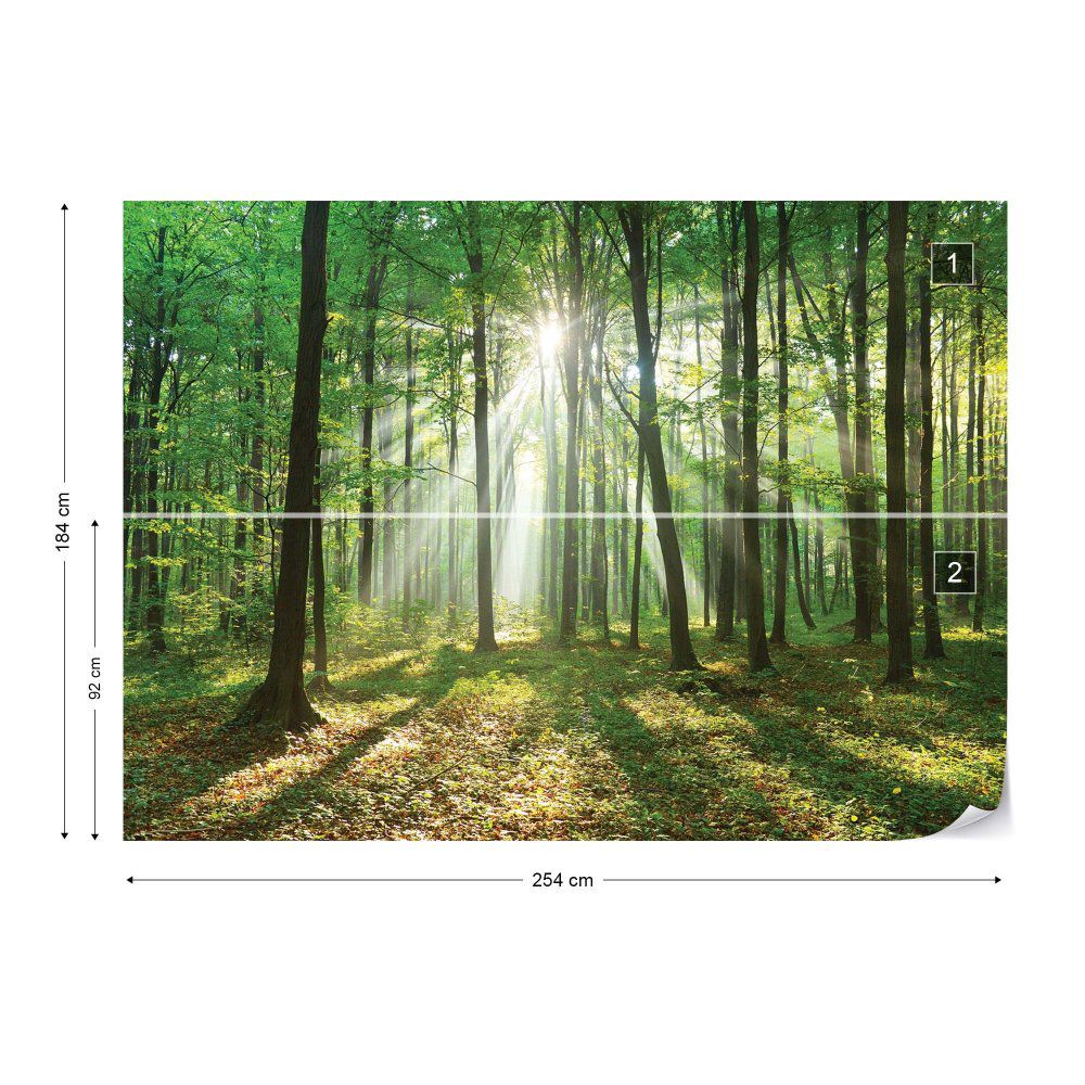 Fototapeta GLIX - Green Forest + lepidlo ZDARMA Papírová tapeta  - 254x184 cm - GLIX DECO s.r.o.
