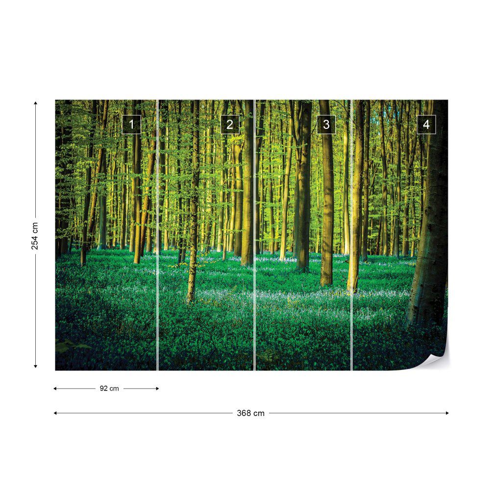 Fototapeta GLIX - Green Forest Trees + lepidlo ZDARMA Papírová tapeta  - 368x254 cm - GLIX DECO s.r.o.