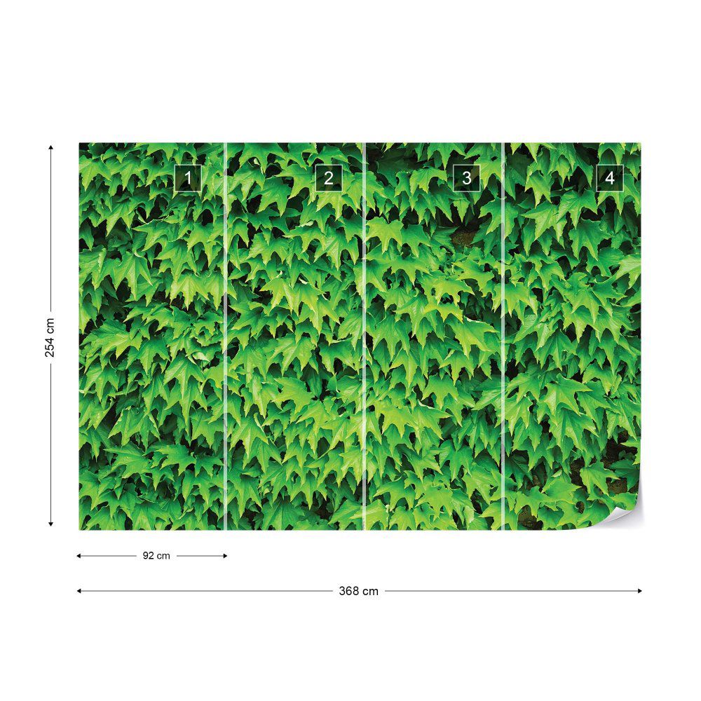 Fototapeta GLIX - Green Leaf Wall + lepidlo ZDARMA Papírová tapeta  - 368x254 cm - GLIX DECO s.r.o.