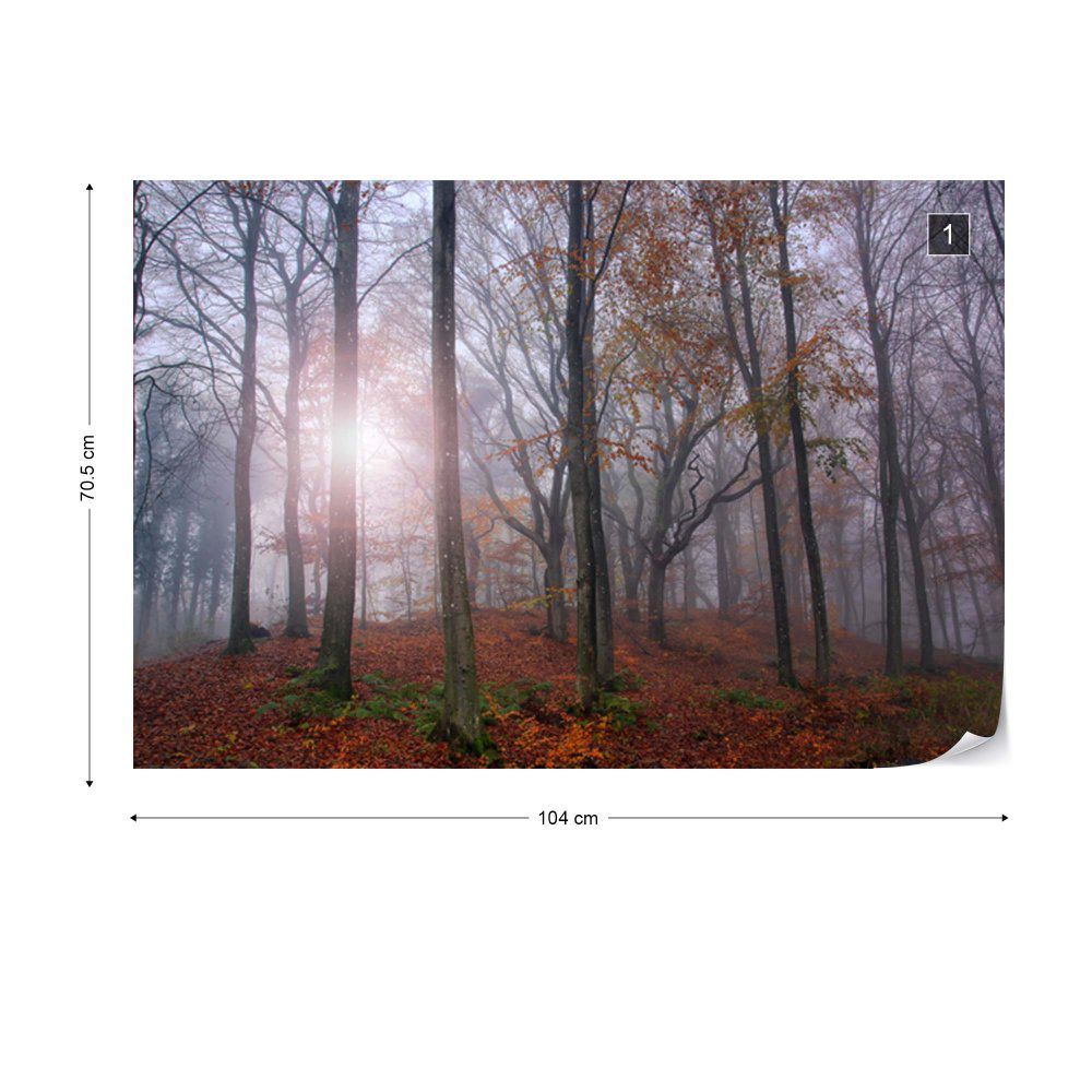 Fototapeta GLIX - Just Forest + lepidlo ZDARMA Vliesová tapeta  - 104x70 cm - GLIX DECO s.r.o.
