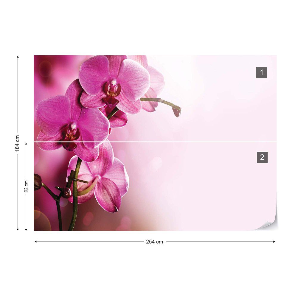 Fototapeta GLIX - Orchids Flowers  + lepidlo ZDARMA Papírová tapeta  - 254x184 cm - GLIX DECO s.r.o.