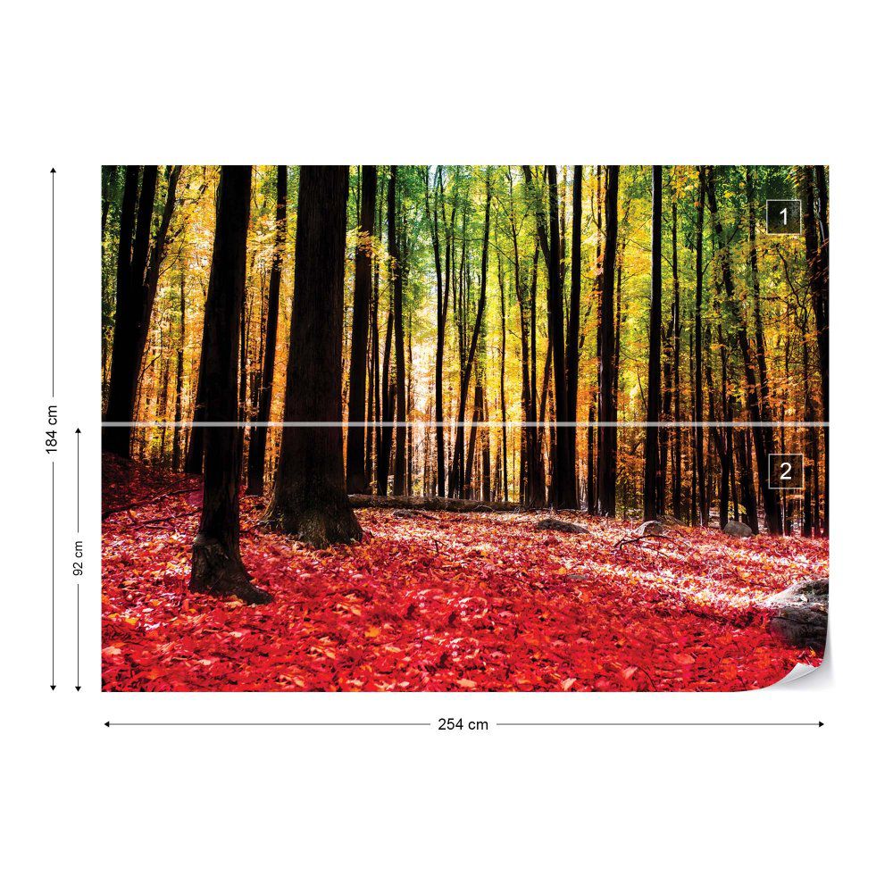 Fototapeta GLIX - Red Autumn Forest + lepidlo ZDARMA Papírová tapeta  - 254x184 cm - GLIX DECO s.r.o.