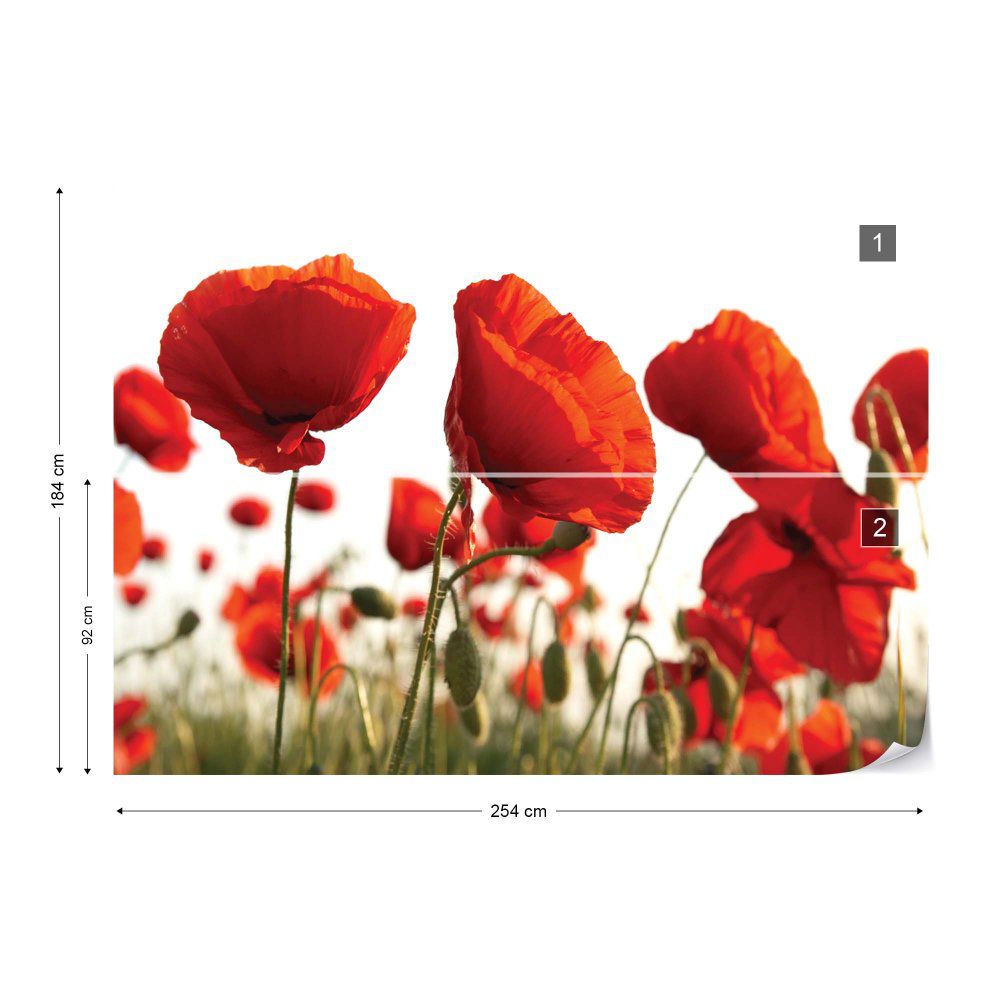 Fototapeta GLIX - Red Poppies In The Field + lepidlo ZDARMA Papírová tapeta  - 254x184 cm - GLIX DECO s.r.o.