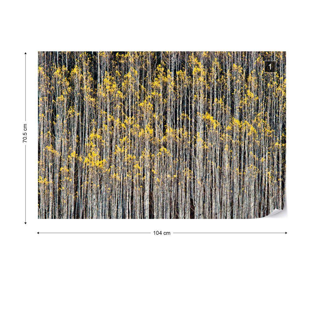 Fototapeta GLIX - Rhythm Of Forest + lepidlo ZDARMA Vliesová tapeta  - 104x70 cm - GLIX DECO s.r.o.