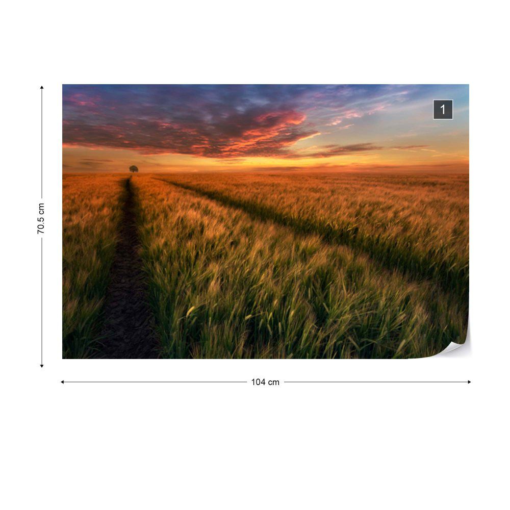 Fototapeta GLIX - Somewhere At Sunset + lepidlo ZDARMA Vliesová tapeta  - 104x70 cm - GLIX DECO s.r.o.