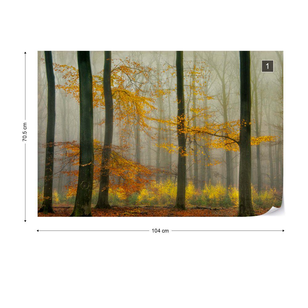 Fototapeta GLIX - The Latest Autumn Colors + lepidlo ZDARMA Vliesová tapeta  - 104x70 cm - GLIX DECO s.r.o.