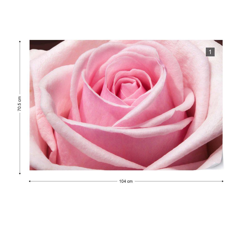 Fototapeta GLIX - The Sensual Rose + lepidlo ZDARMA Vliesová tapeta  - 104x70 cm - GLIX DECO s.r.o.
