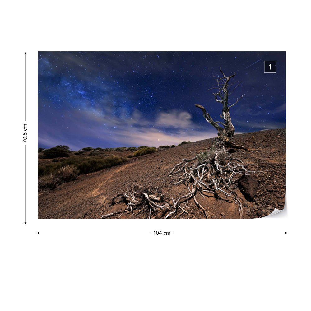 Fototapeta GLIX - Tree In The Night + lepidlo ZDARMA Vliesová tapeta  - 104x70 cm - GLIX DECO s.r.o.