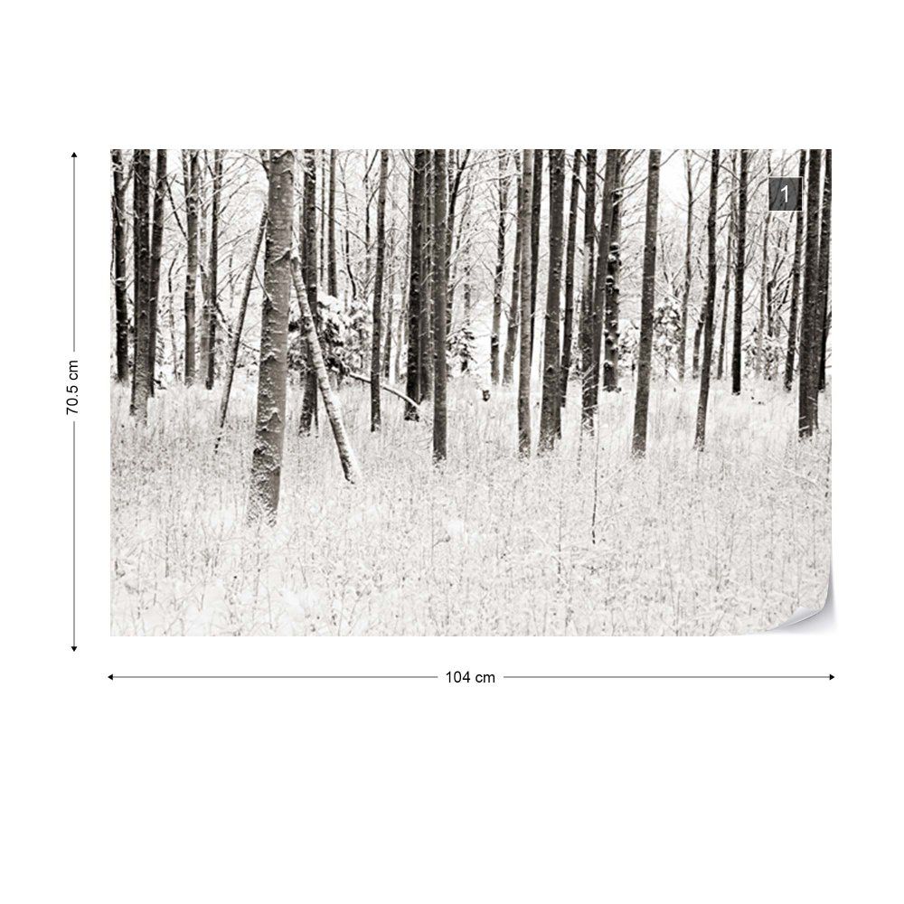 Fototapeta GLIX - Winter Calm + lepidlo ZDARMA Vliesová tapeta  - 104x70 cm - GLIX DECO s.r.o.