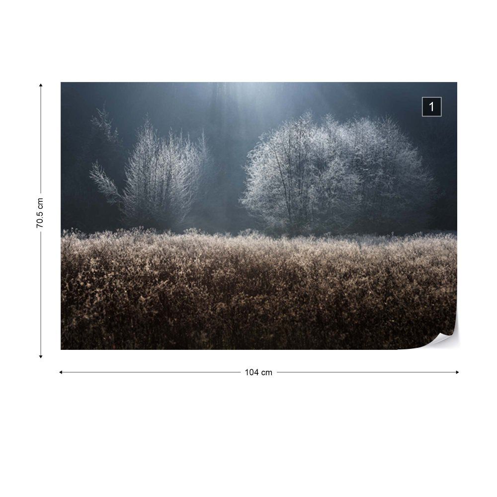 Fototapeta GLIX - Winter Field + lepidlo ZDARMA Vliesová tapeta  - 104x70 cm - GLIX DECO s.r.o.