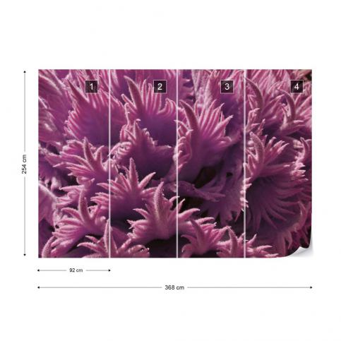 GLIX Fototapeta - Pink Organic Texture Papírová tapeta  - 368x254 cm - GLIX DECO s.r.o.