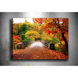 Obraz Tablo Center Autumn Bridge, 70 x 50 cm Bonami.cz