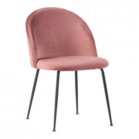 House Nordic Jídelní židle  GENEVE růžový samet,černé nohy - Alhambra | design studio