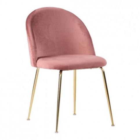 House Nordic Jídelní židle GENEVE růžový samet,mosazné nohy - Alhambra | design studio