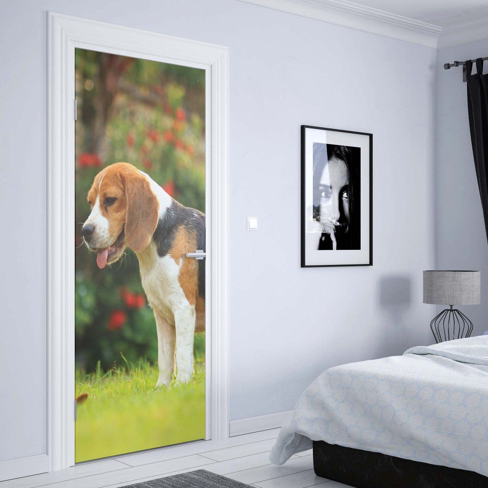 GLIX Fototapeta na dveře - Beagle Dog | 91x211 cm - GLIX DECO s.r.o.