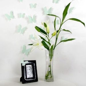 Sada 12 zelených 3D samolepek Ambiance Butterflies - Favi.cz