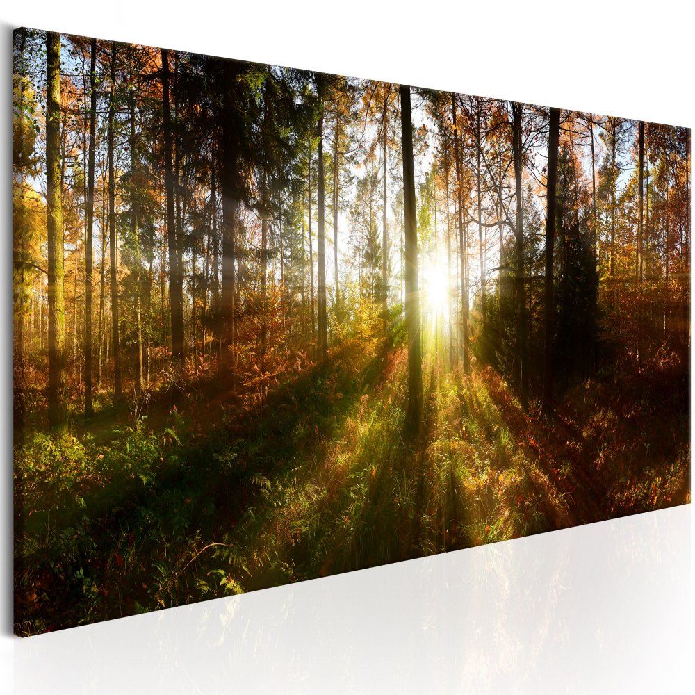 Obraz na plátně Bimago - Beautiful Forest 150x50 cm - GLIX DECO s.r.o.