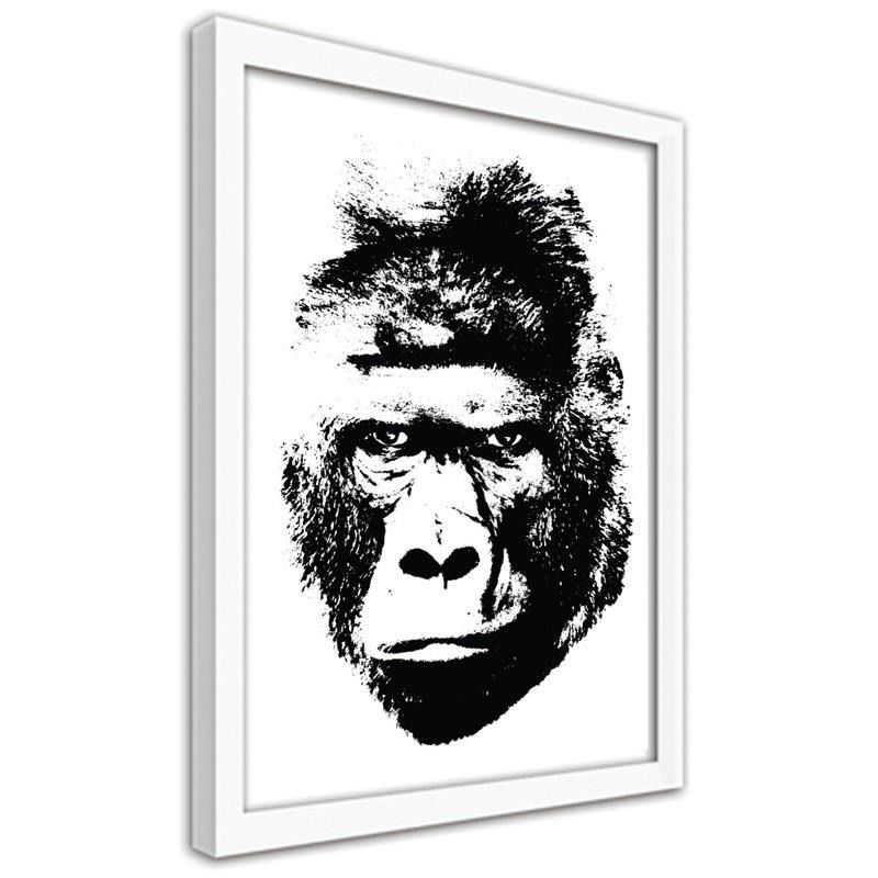 CARO Obraz v rámu - Illustration Of A Gorilla Bílá 30x40 cm - GLIX DECO s.r.o.