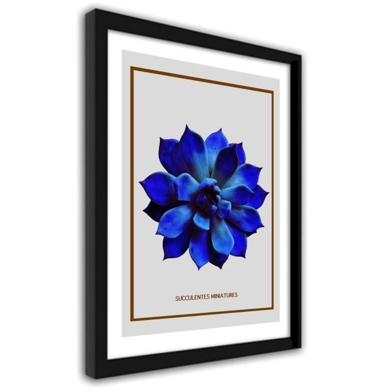 CARO Obraz v rámu - Blue Cactus Černá 30x40 cm - GLIX DECO s.r.o.