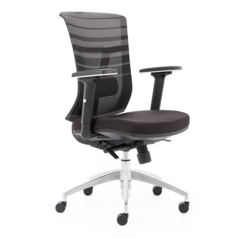 Kancelářská židle Pixel L Express - Rafni