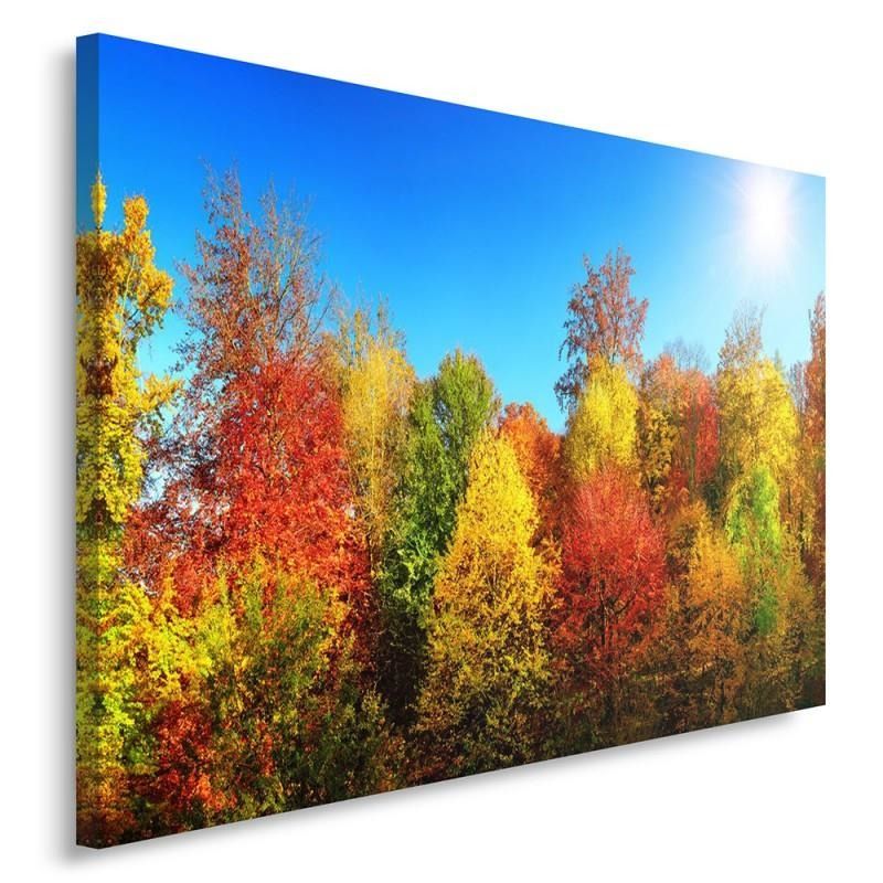 CARO Obraz na plátně - Autumn Trees 40x30 cm - GLIX DECO s.r.o.