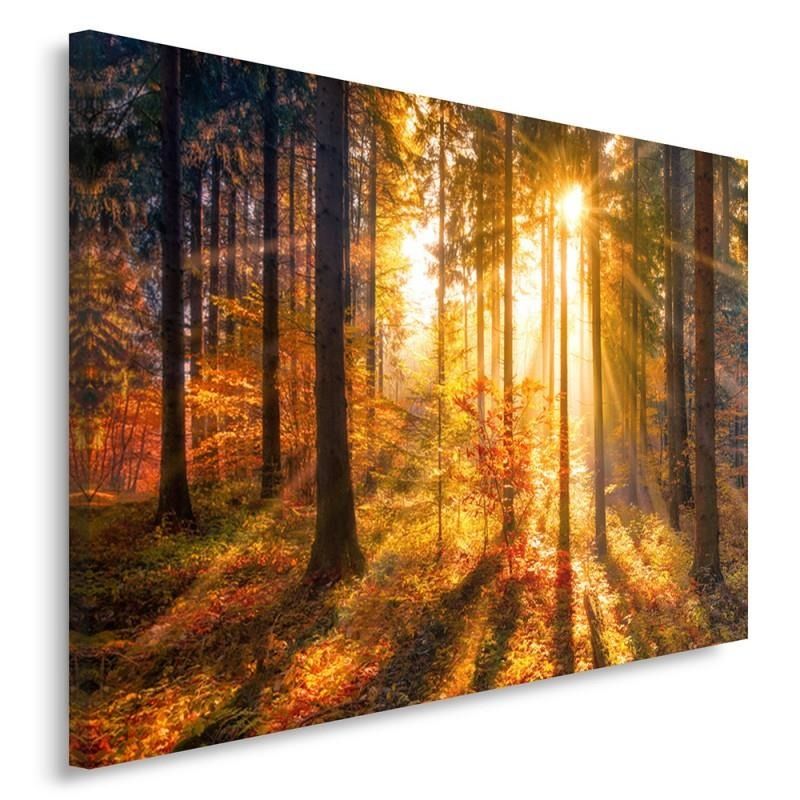 CARO Obraz na plátně - Forest At Sunset 40x30 cm - GLIX DECO s.r.o.