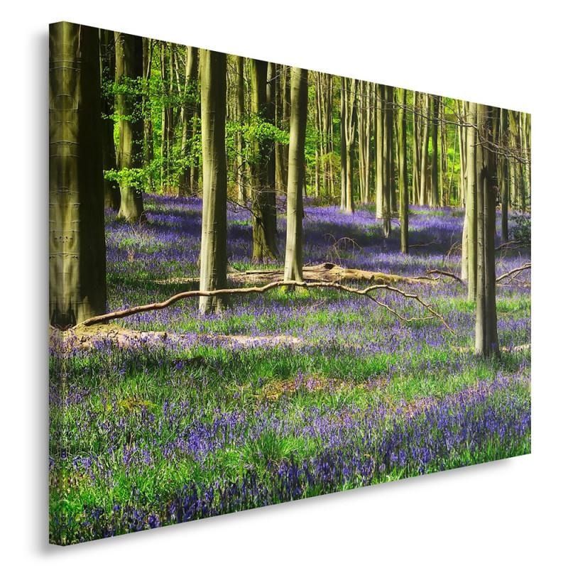 CARO Obraz na plátně - Forest Flowers 40x30 cm - GLIX DECO s.r.o.