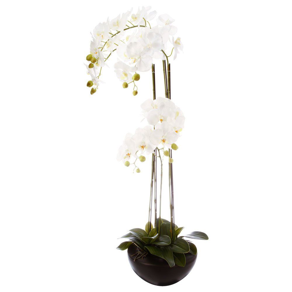 Emako Bílá orchidej v květináči – krásná ozdoba místnosti, skvělý dárek - EMAKO.CZ s.r.o.