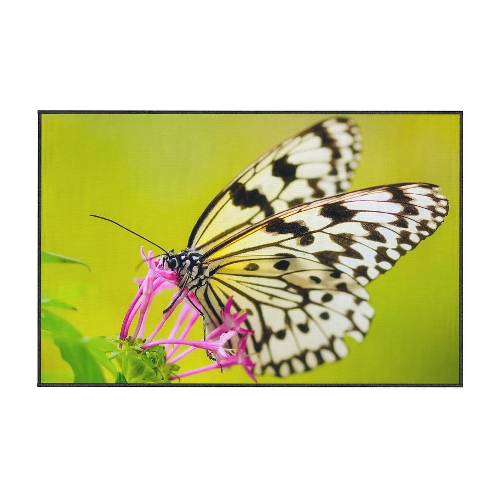 Zelený koberec Oyo home Butterfly, 100 x 140 cm - Bonami.cz