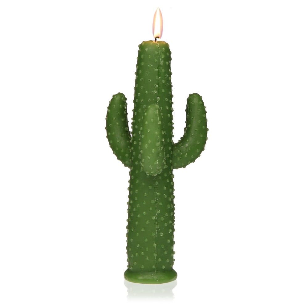 Dekorativní svíčka ve tvaru kaktusu Versa Cactus Suan - Bonami.cz