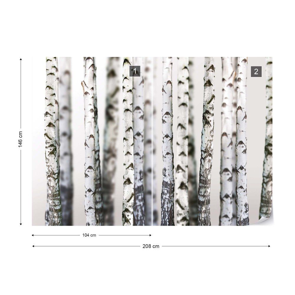 Fototapeta GLIX - Birch Trees Forest Nature  + lepidlo ZDARMA Vliesová tapeta  - 208x146 cm - GLIX DECO s.r.o.