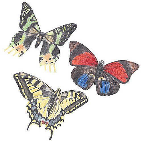 Samolepící dekorace  Motýli - motýlci - Dětské dekorace Lunami