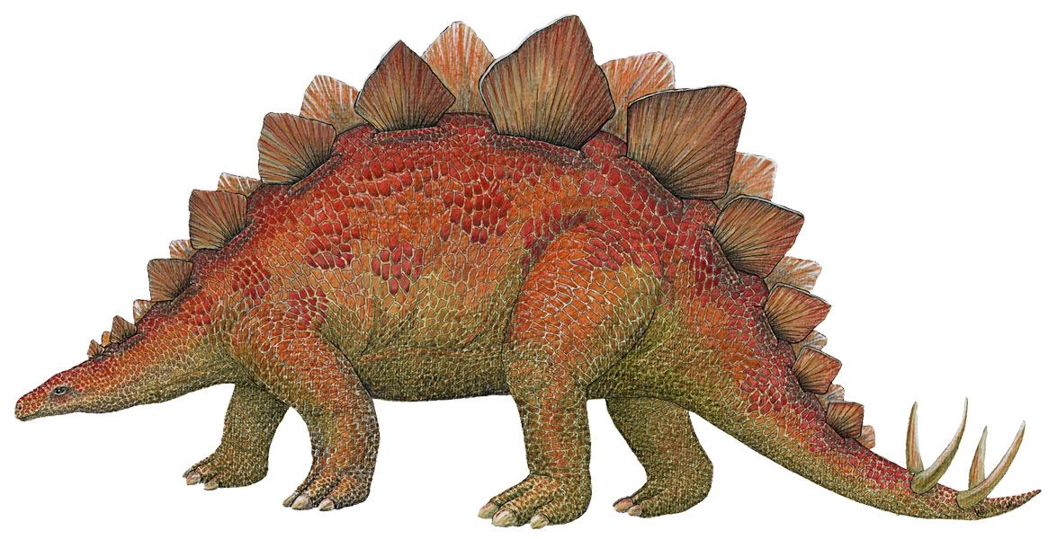 Samolepky dinosauři - Samolepící dekorace Stegosaurus - Dětské dekorace Lunami