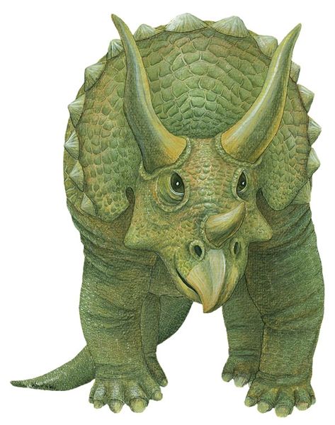 Samolepky dinosauři - Samolepící dekorace Triceratops - Dětské dekorace Lunami