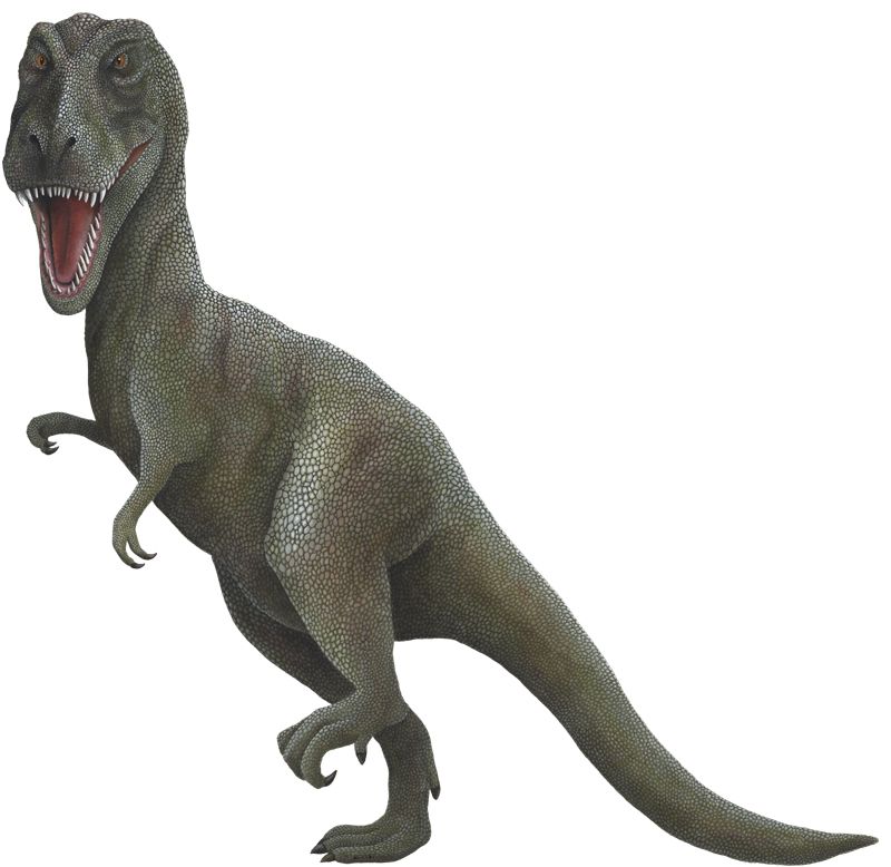 Samolepky dinosauři - Tyrannosaurus Rex (T-Rex) - Dětské dekorace Lunami
