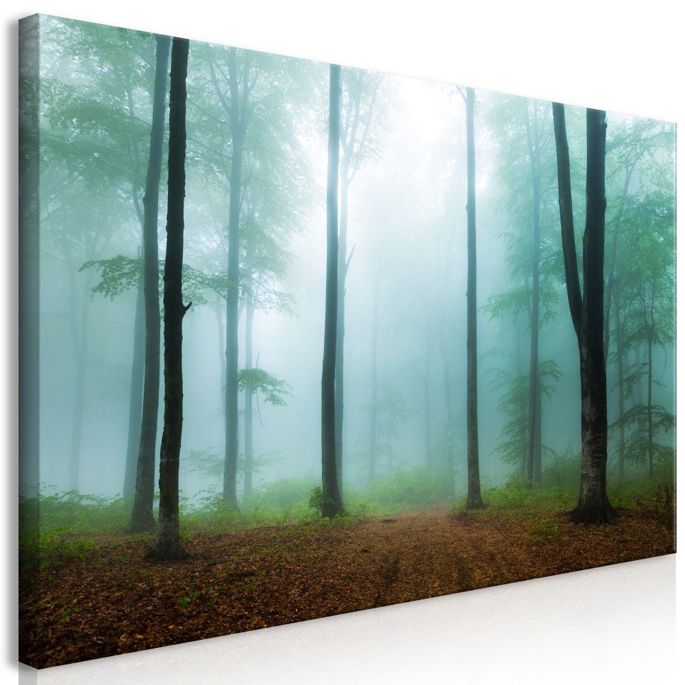 Obraz na plátně Bimago - Misty Morning (1 Part) Wide 70x35 cm - GLIX DECO s.r.o.