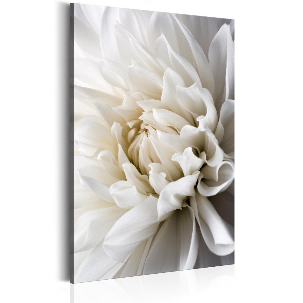 Obraz na plátně Bimago - White Dahlia 40x60 cm - GLIX DECO s.r.o.