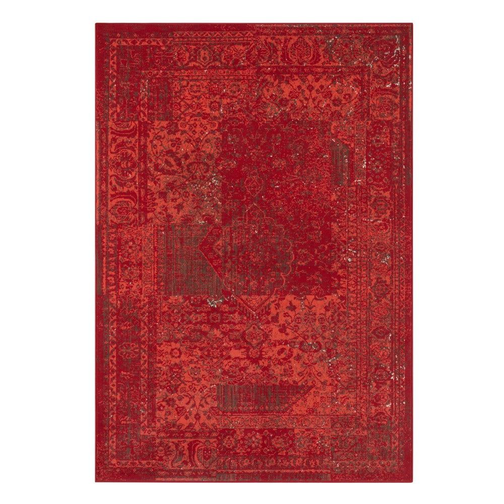 Červený koberec Hanse Home Celebration Plume, 200 x 290 cm - Bonami.cz