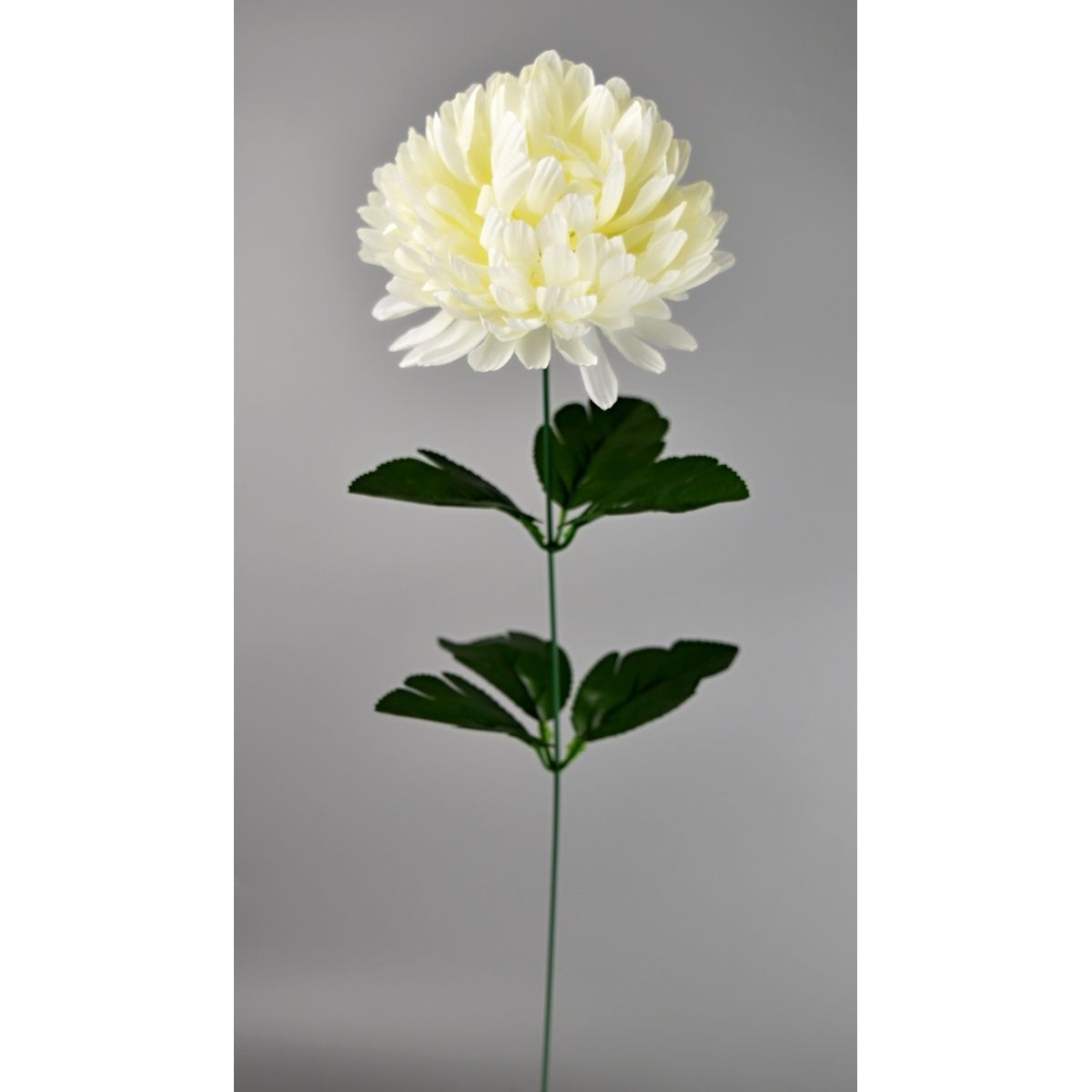 Umělá květina Chrysantéma 50 cm, bílá - 4home.cz