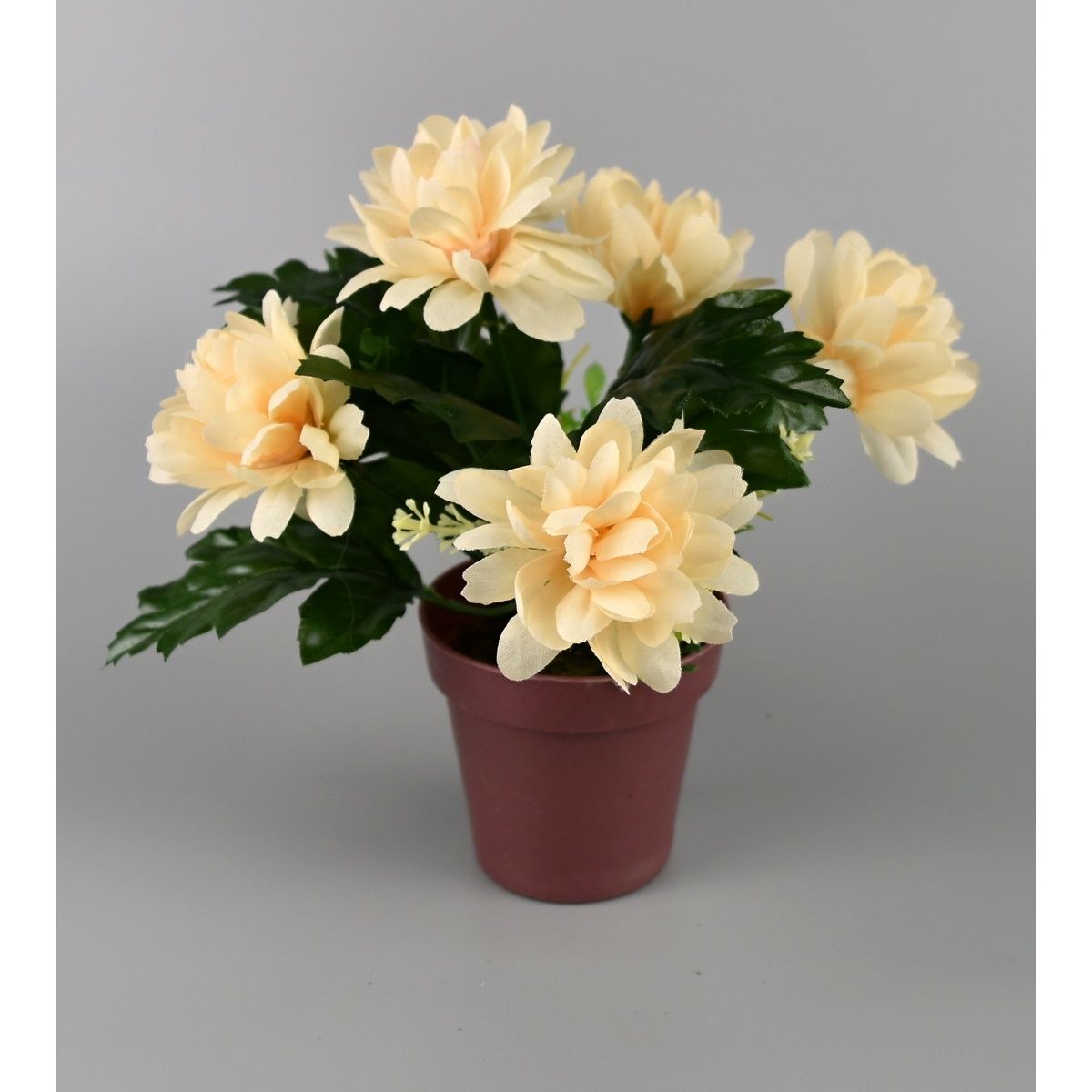Umělá květina Chrysantéma v květináči 16 x 14 cm, krémová - 4home.cz