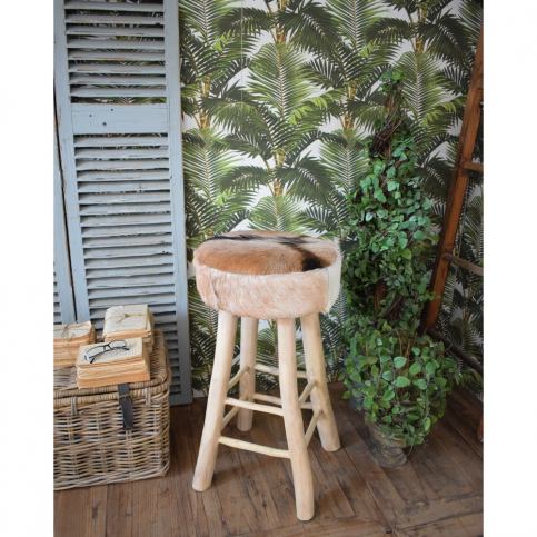 Barová stolička z teakového dřeva a kozí kůže Orchidea Milano Aspen, výška 73 cm - Bonami.cz