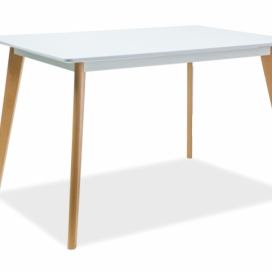 Stůl DECLAN I bílý/BUK 120X80