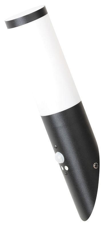 RABALUX 8146 Black torch exteriérové ​​nástěnné svítidlo se senzorem 1xE27 matná černá - Svítidla FEIM