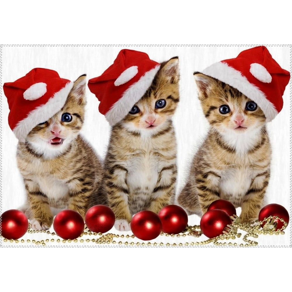 Koberec Vitaus Christmas Period Three Cats, 50 x 80 cm - Bonami.cz