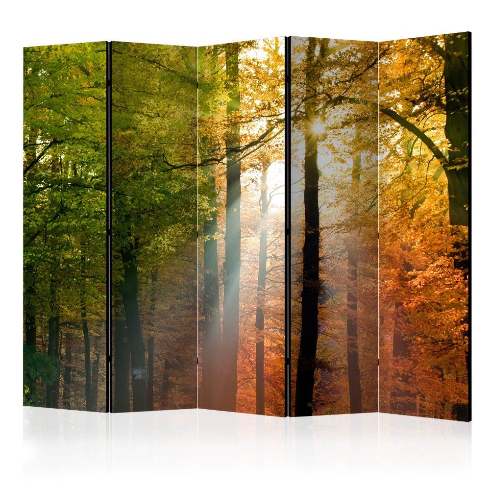 Paraván Forest Colours Dekorhome 225x172 cm (5-dílný) - DEKORHOME.CZ