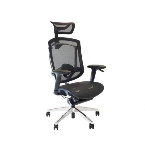 Ergonomická židle Marrit GT07-35X (s opěrkou hlavy), celosíť GT27 černá - Rafni